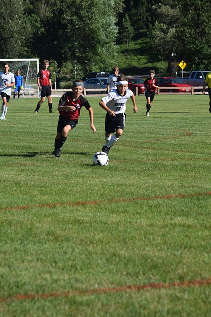 顯得更加濃 顯得更加濃