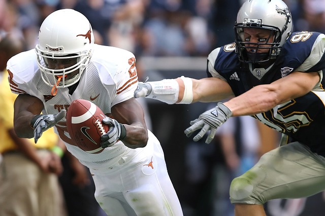 有序得到了 有序得到了